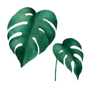 Meet your Posher, Harrison